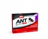 Appât a fourmis ANT B GON